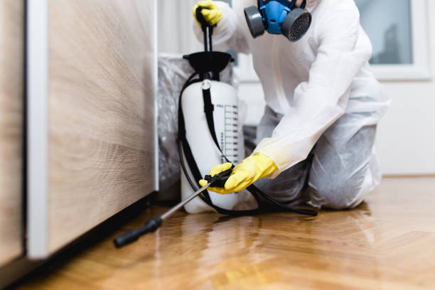 Best Affordable Pest Control Services  in Clay City, IN
