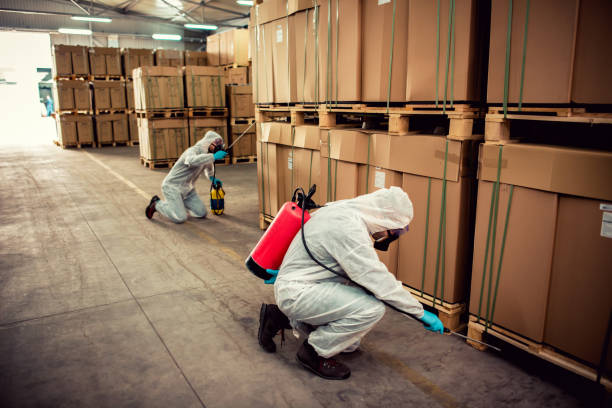 Best Pest Prevention Services  in Clay City, IN