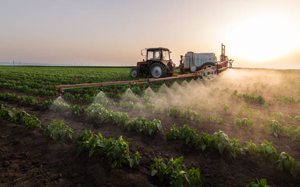 Best Mosquito Control Services  in Clay City, IN