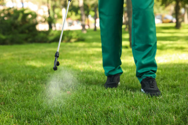 Best Residential Pest Control  in Clay City, IN