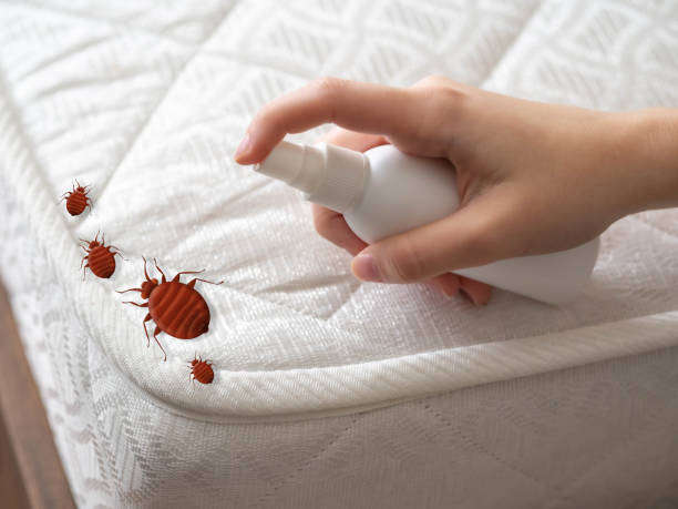 Best Pest Removal Services  in Clay City, IN