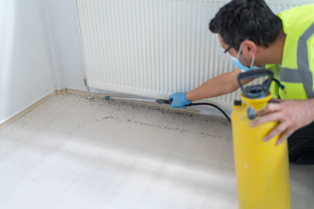 Best Best Pest Control Companies  in Clay City, IN