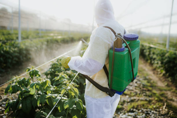 Best Pest Prevention Services  in Clay City, IN